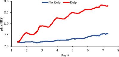 Kelp (Saccharina latissima) Mitigates Coastal Ocean Acidification and Increases the Growth of North Atlantic Bivalves in Lab Experiments and on an Oyster Farm